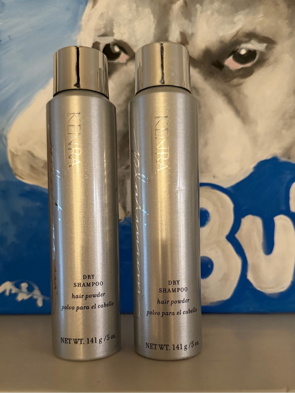 2 Kenra Platinum Dry Shampoos: 1 NEW; 1 90% full
